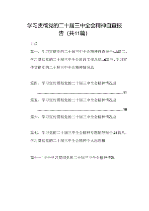 （11篇）学习贯彻党的二十届三中全会精神自查报告（精选）.docx