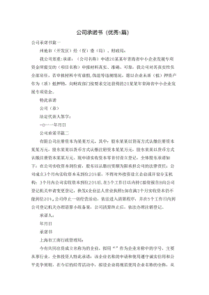 公司承诺书（优秀5篇）.docx