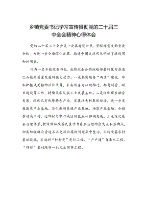 乡镇党委书记学习宣传贯彻党的二十届三中全会精神心得体会.docx
