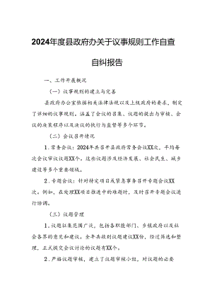 2024年度县政府办关于议事规则工作自查自纠报告.docx