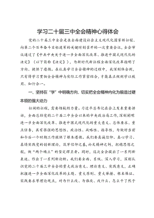 学习二十届三中全会精神心得体会 .docx