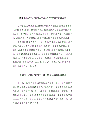 团支部书记学习党的二十届三中全会精神研讨发言8篇（详细版）.docx