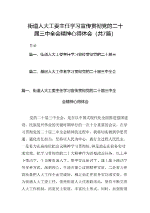 街道人大工委主任学习宣传贯彻党的二十届三中全会精神心得体会7篇（最新版）.docx