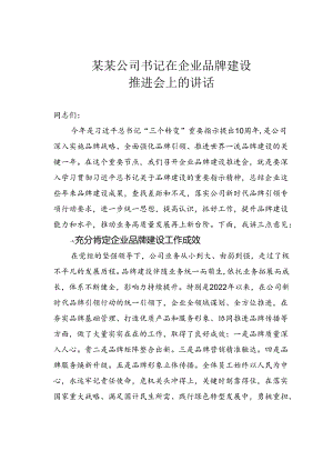 某某公司书记在企业品牌建设推进会上的讲话.docx