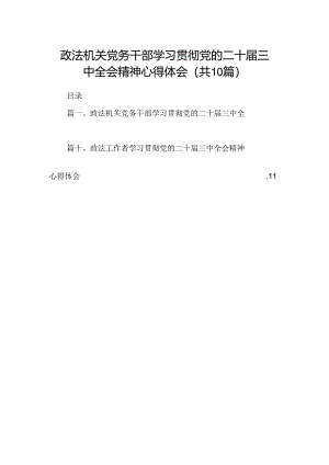 （10篇）政法机关党务干部学习贯彻党的二十届三中全会精神心得体会（详细版）.docx