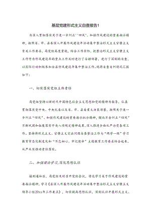 基层党建形式主义自查报告2篇.docx