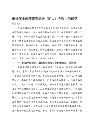 市长在全市禁毒委员会（扩大）会议上的讲话.docx