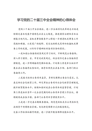 2024年党员关于学习党的二十届三中全会精神最新版心得体会发言稿三十篇.docx
