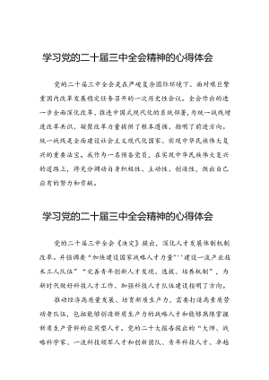 学习贯彻党的二十届三中全会精神的心得体会简短交流发言材料精选33篇.docx