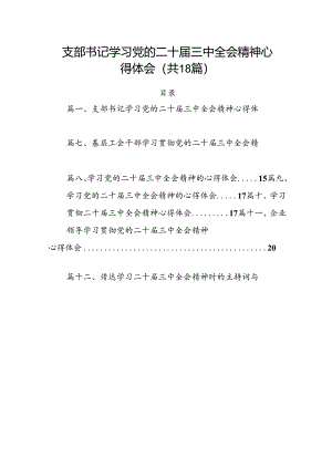 （18篇）支部书记学习党的二十届三中全会精神心得体会范文.docx