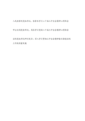 公检法一把手书记学习二十届三中全会精神心得体会研讨发言3篇.docx