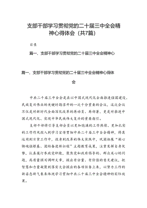 支部干部学习贯彻党的二十届三中全会精神心得体会7篇（精选版）.docx