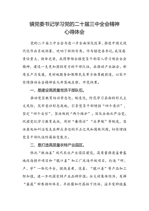 镇党委书记学习党的二十届三中全会精神心得体会.docx