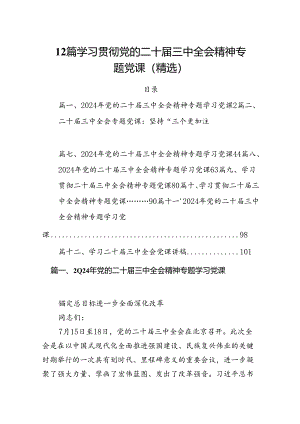 12篇学习贯彻党的二十届三中全会精神专题党课(精选).docx