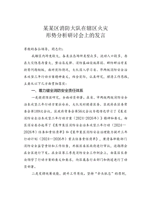 某某区消防大队在辖区火灾形势分析研讨会上的发言.docx