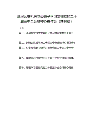 基层公安机关党委班子学习贯彻党的二十届三中全会精神心得体会（共10篇选择）.docx