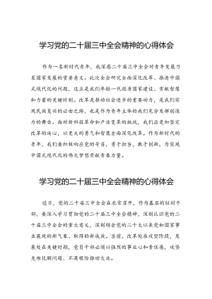 年轻党员学习党的二十届三中全会精神的心得体会.docx