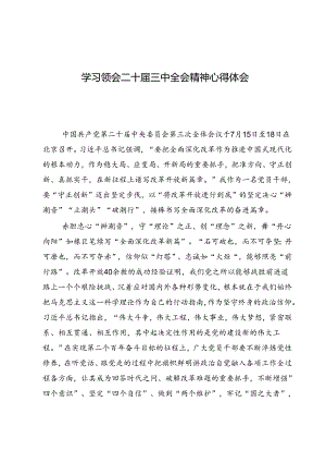 学习领会二十届三中全会精神心得体会5篇.docx