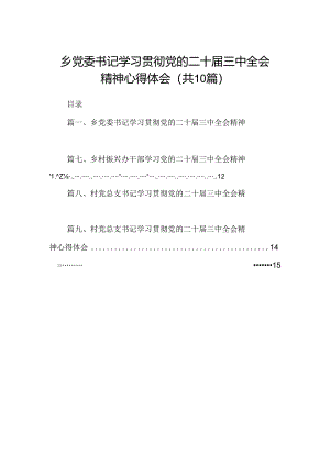 （10篇）乡党委书记学习贯彻党的二十届三中全会精神心得体会（详细版）.docx