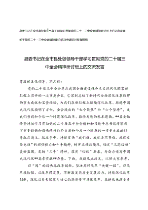 2024年县委书记在全市县处级领导干部学习贯彻党的二十届三中全会精神研讨班上的交流发言提纲.docx