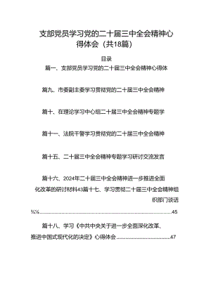 （18篇）支部党员学习党的二十届三中全会精神心得体会范文.docx