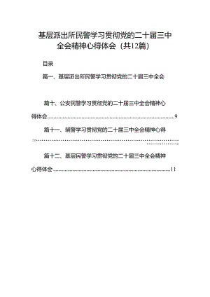 基层派出所民警学习贯彻党的二十届三中全会精神心得体会12篇（精选）.docx