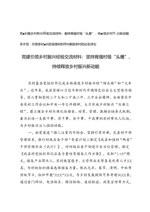 2024年党建引领乡村振兴经验交流材料.docx