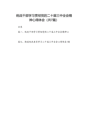 统战干部学习贯彻党的二十届三中全会精神心得体会7篇（详细版）.docx