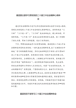 基层委主委学习贯彻党的二十届三中全会精神心得体会（共8篇）.docx