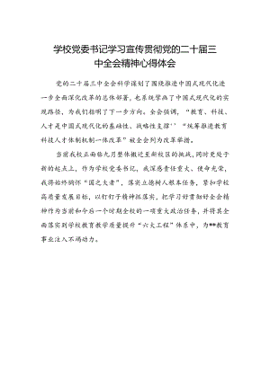 学校党委书记学习宣传贯彻党的二十届三中全会精神心得体会.docx
