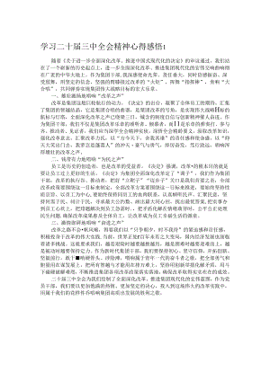 学习二十届三中全会精神心得感悟1.docx