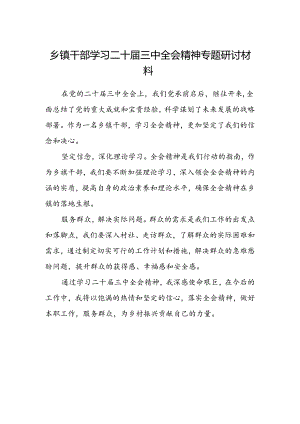 乡镇干部学习二十届三中全会精神专题研讨材料.docx