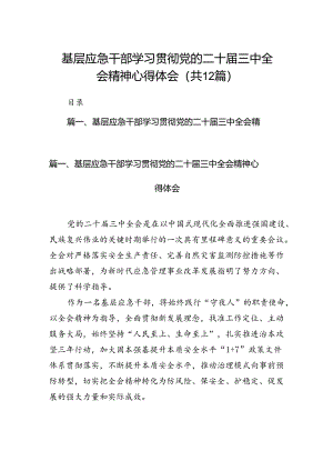 基层应急干部学习贯彻党的二十届三中全会精神心得体会12篇（精选）.docx