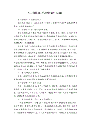 乡三资管理工作自查报告（3篇）.docx