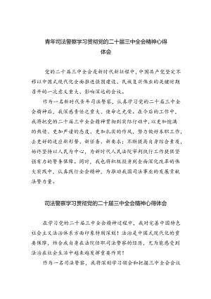 青年司法警察学习贯彻党的二十届三中全会精神心得体会8篇（精选版）.docx