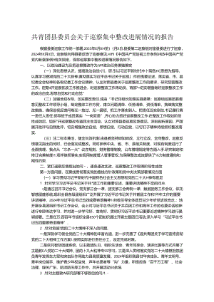 共青团县委员会关于巡察集中整改进展情况的报告.docx