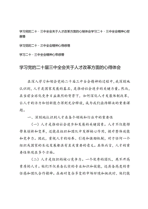 学习党的二十届三中全会关于人才改革方面的心得体会学习二十届三中全会精神心得感悟.docx