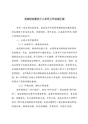 2024年支部纪检委员个人半年工作总结汇报.docx