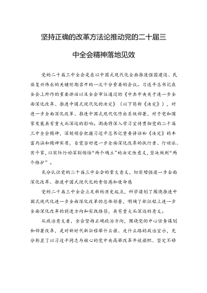 坚持正确的改革方法论推动党的二十届三中全会精神落地见效.docx