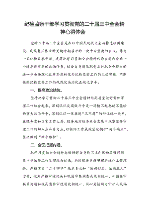 纪检监察干部学习贯彻党的二十届三中全会精神心得体会(4).docx