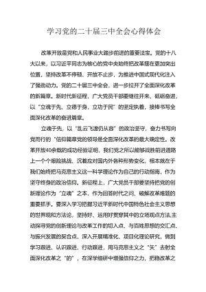 学习2024年学习党的二十届三中全会个人心得感悟 （6份）_62.docx