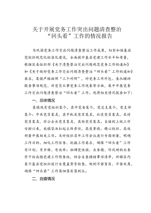 关于开展党务工作突出问题清查整治“回头看”工作的情况报告.docx