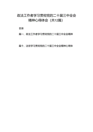 政法工作者学习贯彻党的二十届三中全会精神心得体会12篇（详细版）.docx