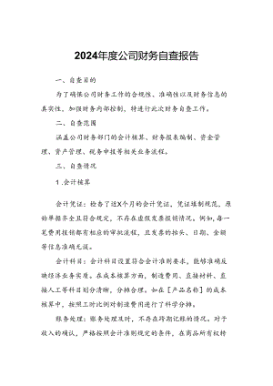 2024年度公司财务自查报告.docx