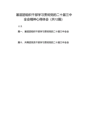 基层团组织干部学习贯彻党的二十届三中全会精神心得体会12篇（精选）.docx