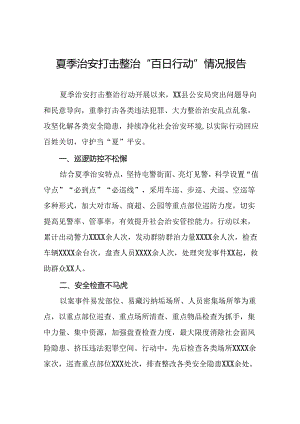 公安纵深推进2024年夏季治安打击整治行动工作报告十八篇.docx