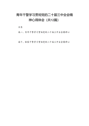青年干警学习贯彻党的二十届三中全会精神心得体会12篇（精选）.docx
