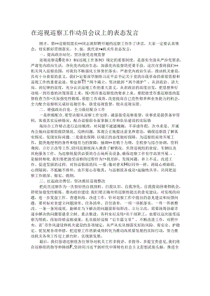 在巡视巡察工作动员会议上的表态发言.docx