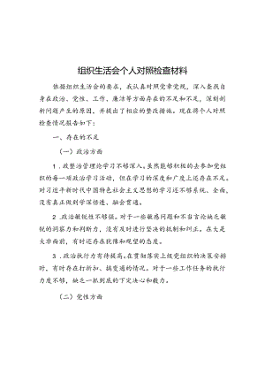 组织生活会个人对照检查材料.docx