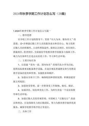 2024年秋季学期工作计划怎么写（20篇）.docx